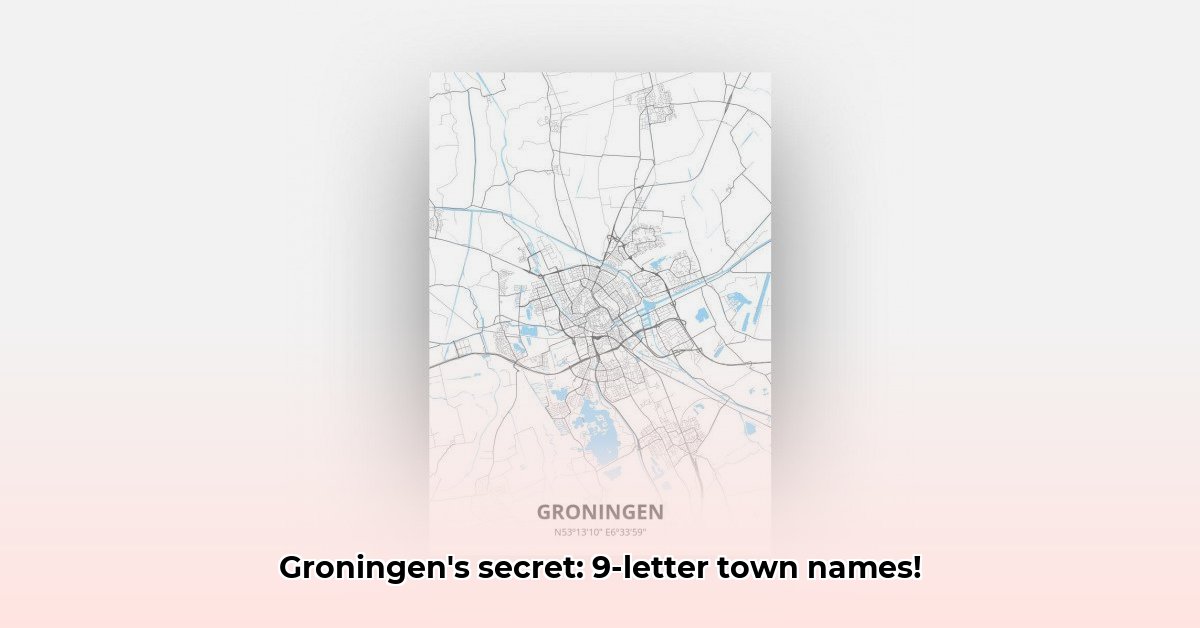 plaats-in-groningen-9-letters